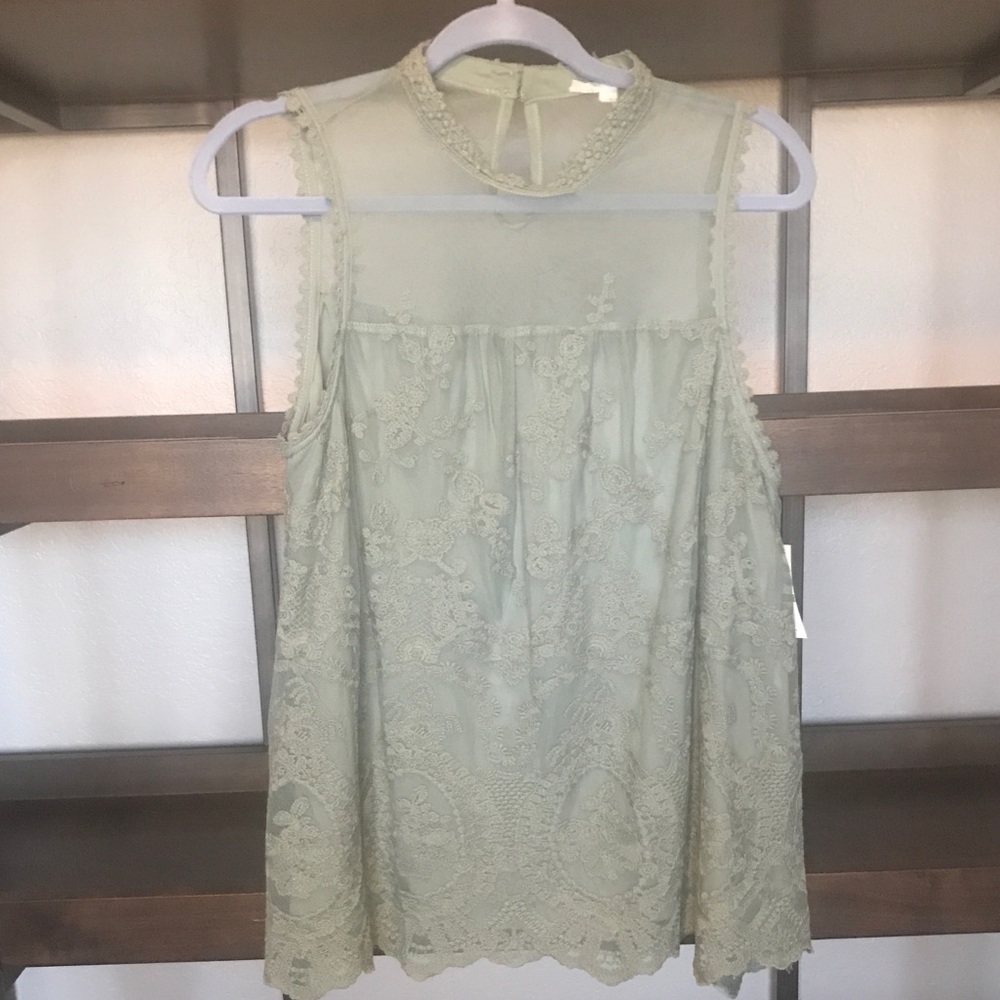 Sage green mesh lace top